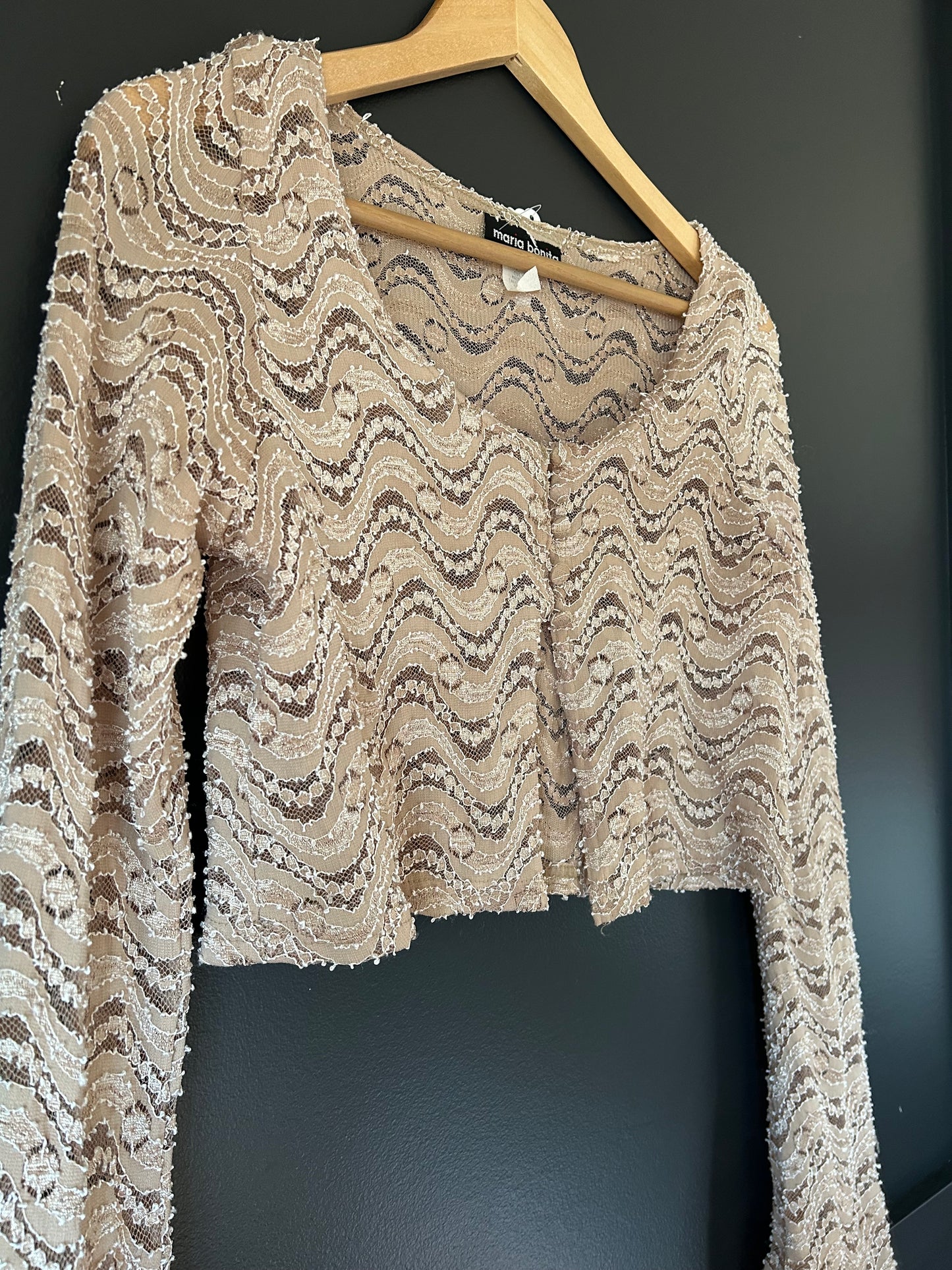 Champagne Lace Cropped Blouse