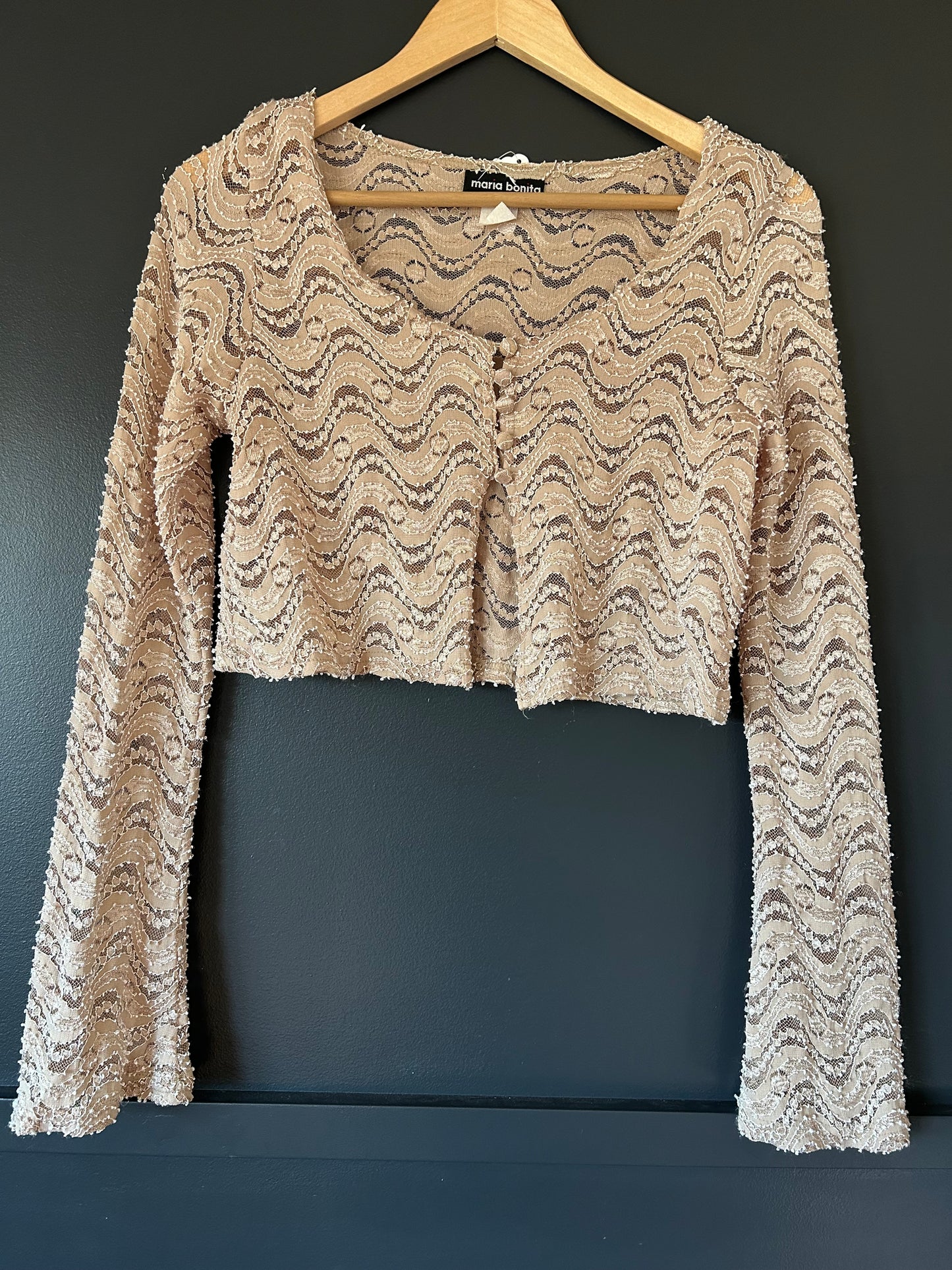 Champagne Lace Cropped Blouse